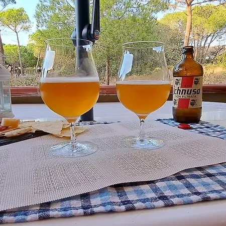 Hébergement de vacances Arboriamar