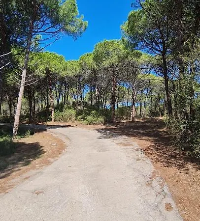 Arboriamar Hébergement de vacances *